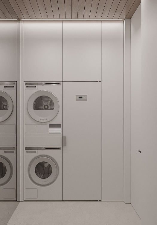 Петровская доминанта